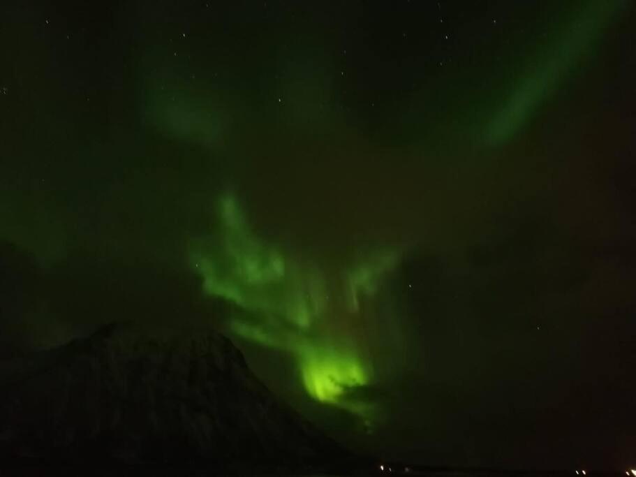 Cozy House - Stronstad @The Start Of Lofoten Stronstad i Vesteralen 外观 照片